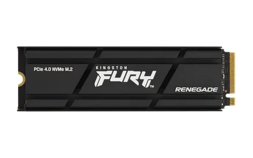 مقایسه گیگابایت NVMe M.2 ظرفیت 256 گیگابایت با Kingston Technology 1000G RENEGADE PCIe 4.0 NVMe SSD W/ HEATSINK