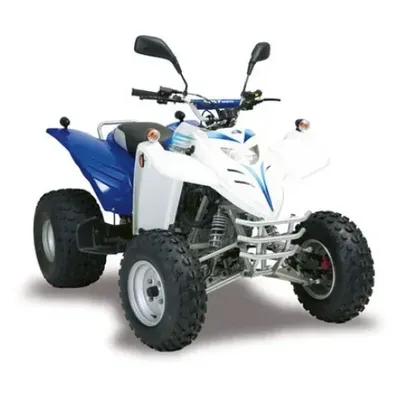 موتور چهارچرخ Adly Interceptor 300