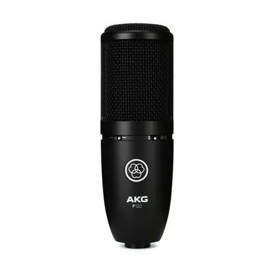 AKG Perception P120
