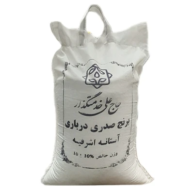 صدری درباری آستانه اشرفیه حاج علی خدمتگزار