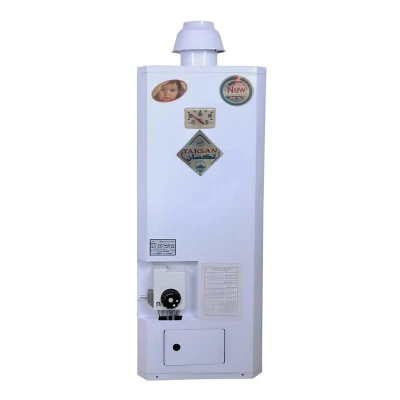 آبگرمکن دیواری گازی تکسان مدل زودجوش L60
