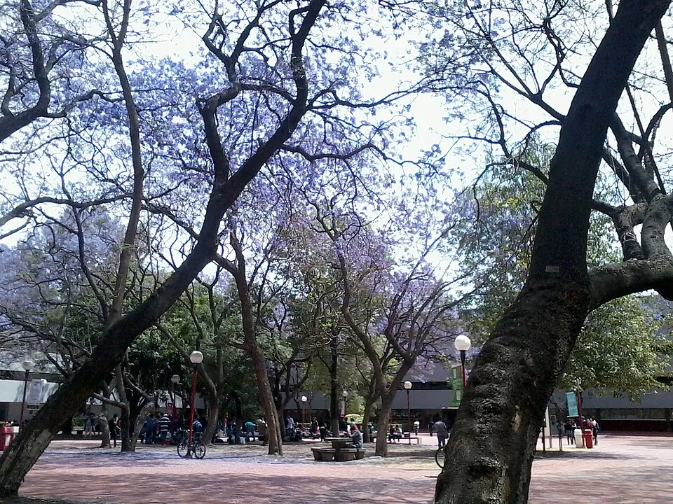 Universidad Autónoma Metropolitana