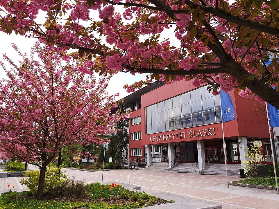 Silesia Üniversitesi