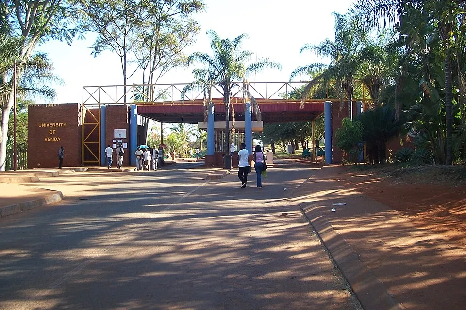 جامعة فينْدا