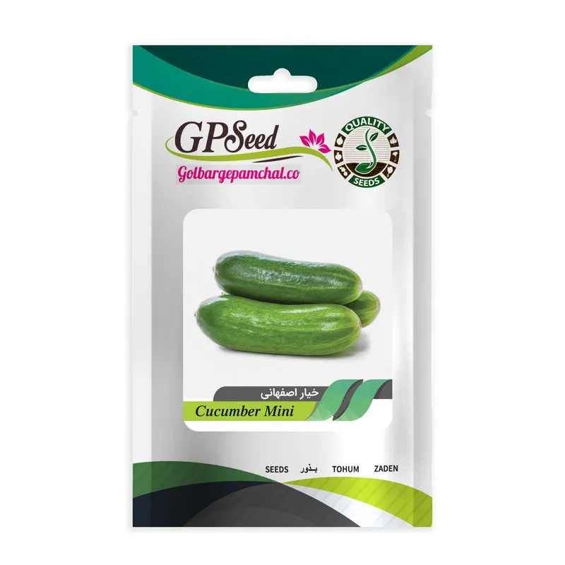 بذر خیار اصفهانی جی پی سید GP1880