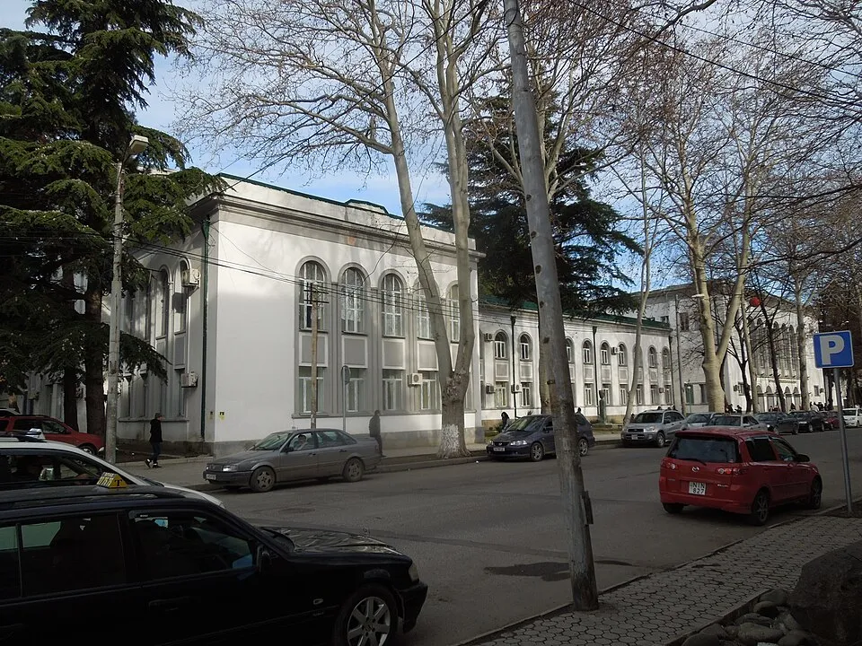 Gori State University