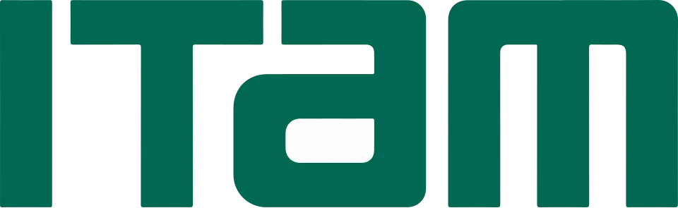 Instituto Tecnológico Autónomo de México