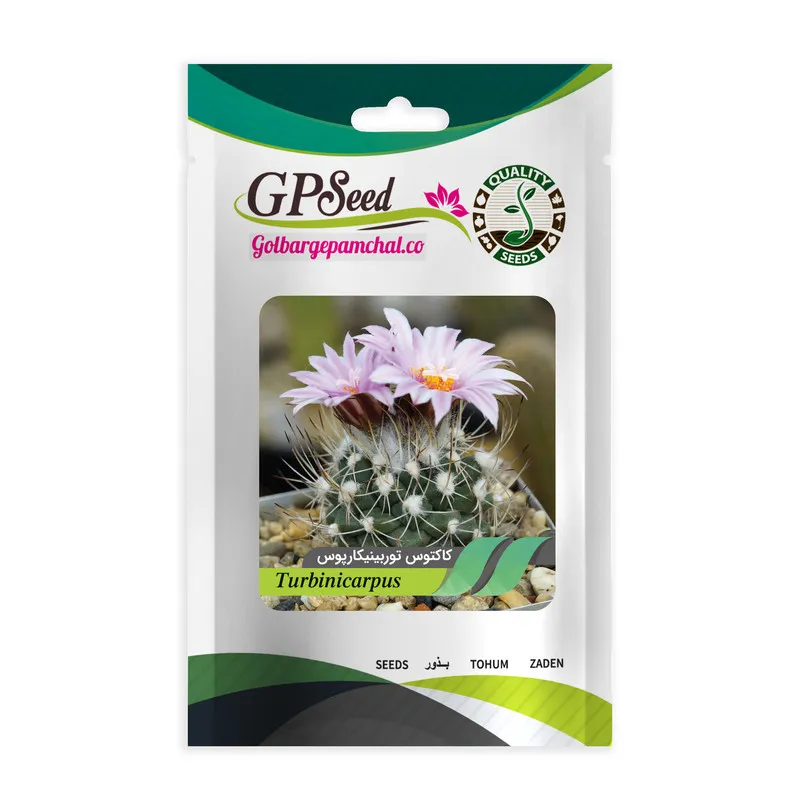 بذر کاکتوس توربینیکارپوس جی پی سید مدل GP28575