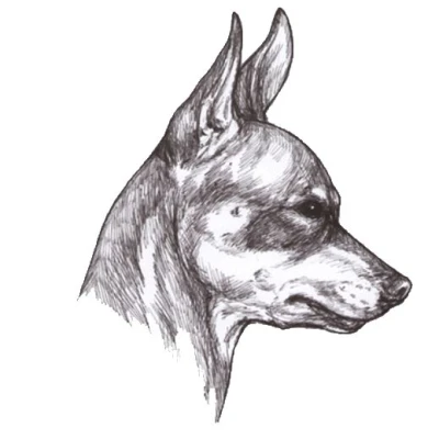 نژاد پراگ رتر (Prague Ratter)