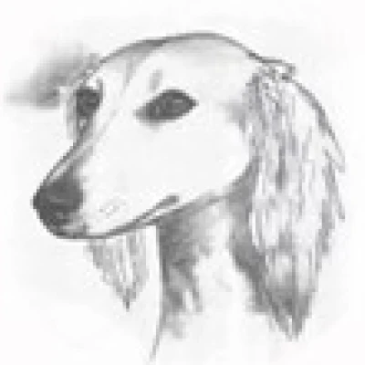 نژاد قزاق تازی (KAZAKH TAZY)