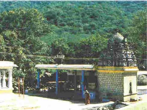 عکس Udumalaippettai