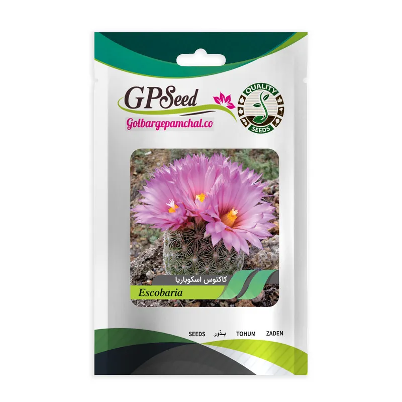 بذر کاکتوس اسکوباریا جی پی سید مدل GP28604