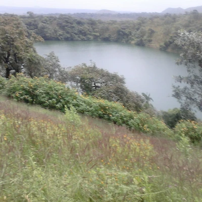Meiganga