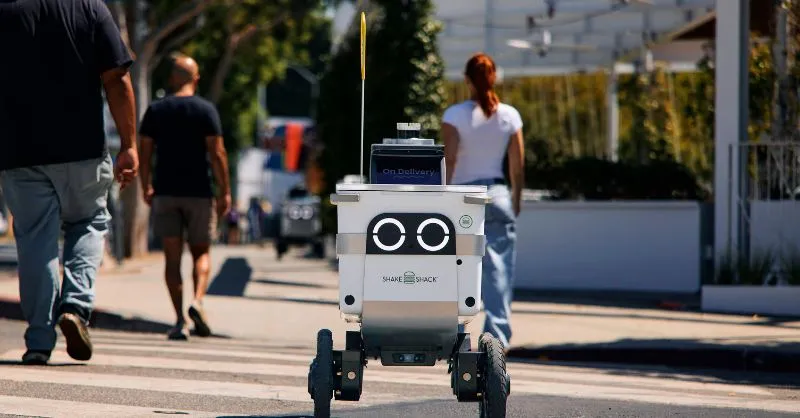 Serve Robotics با جذب ۸۰ میلیون دلار به توسعه ربات‌های تحویل پیاده‌روی خود ادامه می‌دهد
